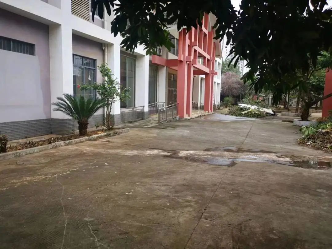 IMG_9444(20221212-005404).JPG 圖片