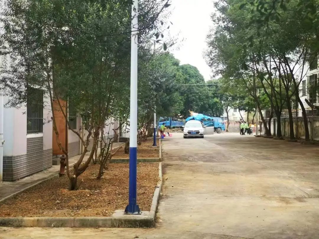 IMG_9450(20221212-005404).JPG 圖片