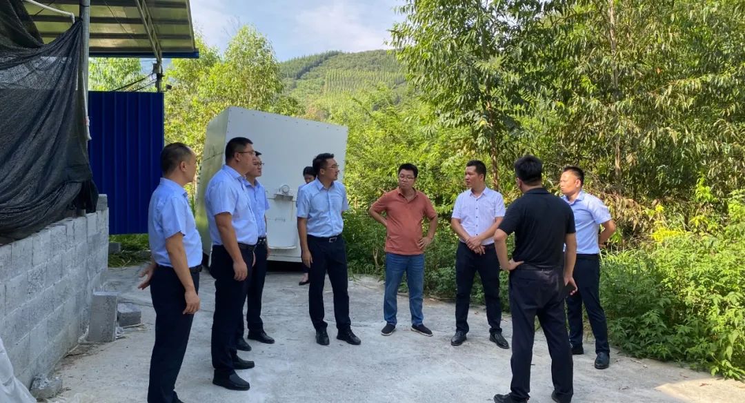 村集體經(jīng)濟(jì)3 村集體經(jīng)濟(jì)3