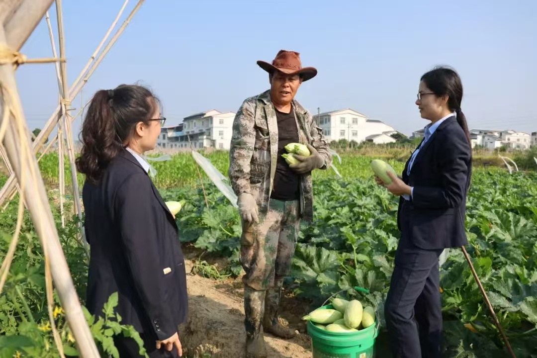 d2741797af29b79d5ffc3233a76ea1f d2741797af29b79d5ffc3233a76ea1f